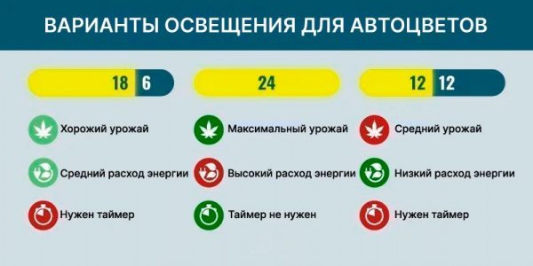 3.jpg 3.jpg