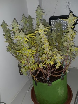 20221104_221028.jpg