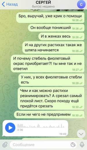 FC94C9D6-7F85-441D-8C83-E4FA2396CFAC.jpeg