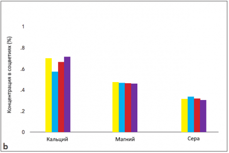 linegraph_b.png linegraph_b.png