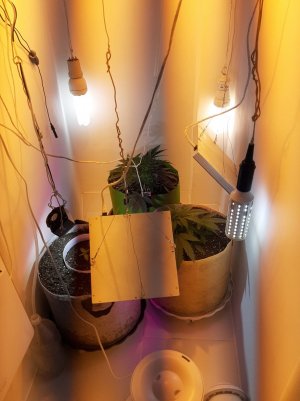 20221119_122049.jpg
