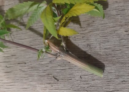 20221202_125216.jpg