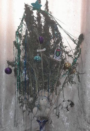 20221202_123710.jpg