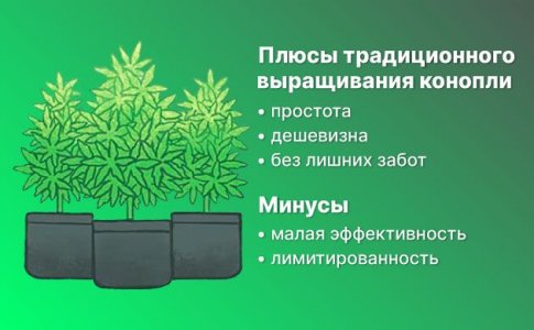 Традиционный гров