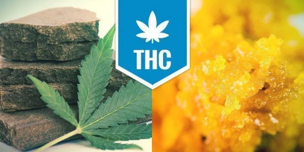 Hashish-Concentrates.jpg