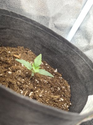 icq_photo_12_10_2022_14_24_27.335.jpg