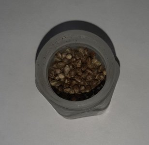 20221113_223119.jpg