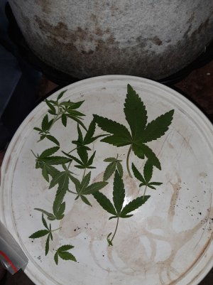 20221222_114142.jpg