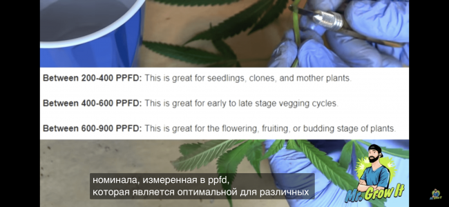 66DE8043-0745-4737-BF85-97ACE66ADDCF.png