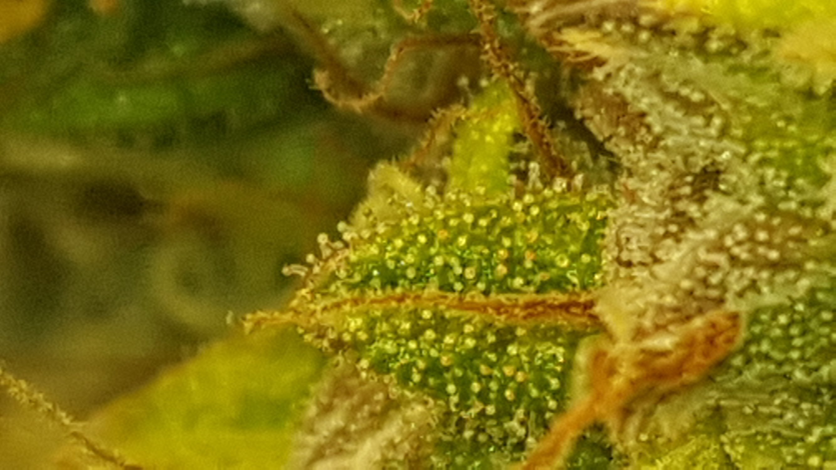 20221223_222127.jpg