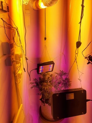 20221229_224050.jpg