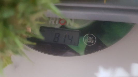 20221230_043400.jpg