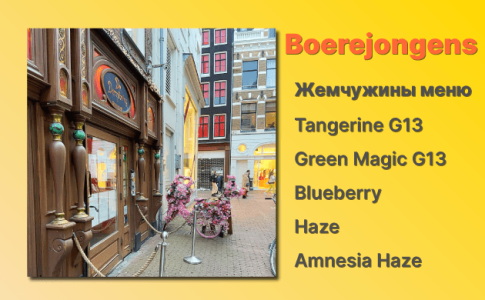 Кофешоп Амстердам Boerejongens Кофешоп Амстердам Boerejongens