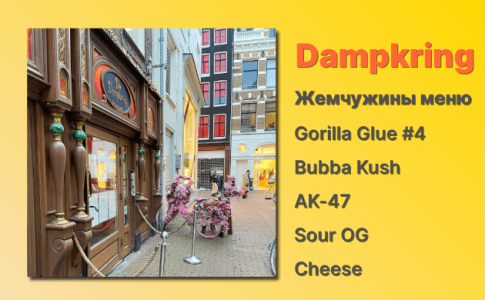 Кофешоп Амстердам Dampkring Кофешоп Амстердам Dampkring