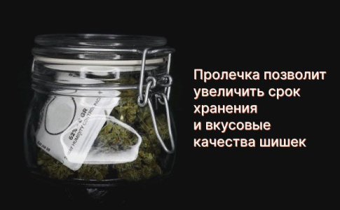Хранение шишек конопли