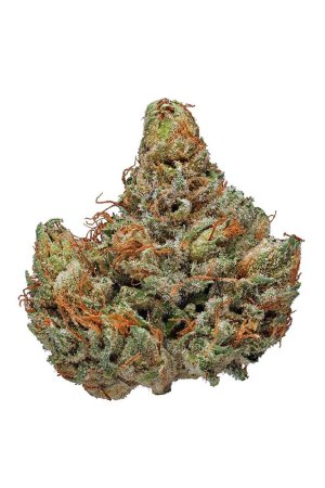 Master-Kush.jpg Master-Kush.jpg