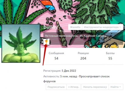 1675236969114.png