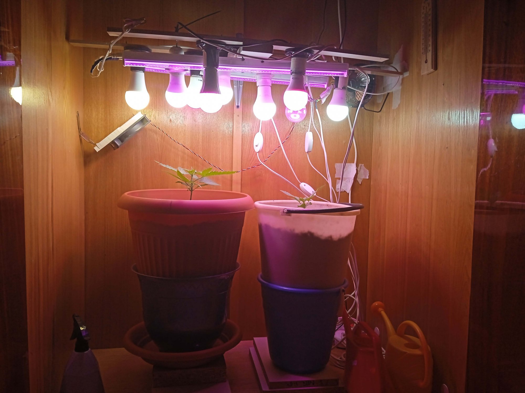 IMG_20230202_183639.jpg