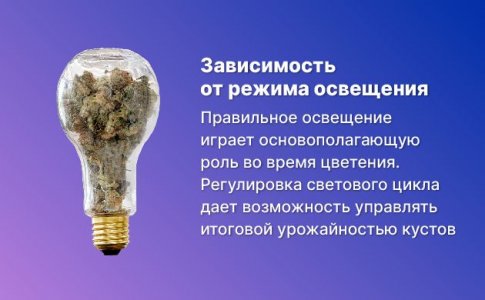 3-Nepravilnaya nastrojka osveshcheniya-100.jpg