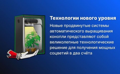 гроубокс