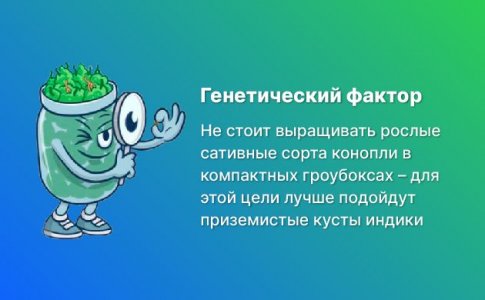 Генетика Генетика