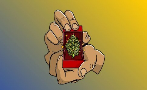 Как промывка влияет на качество шишек