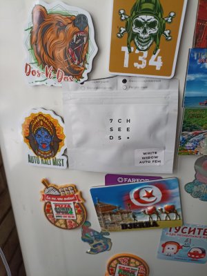 IMG_20230214_094818.jpg