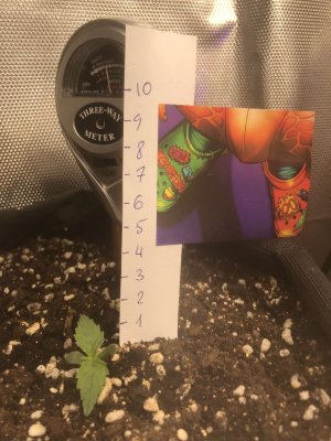 04922299-55BF-453F-AF17-0E3D3914802A.jpeg