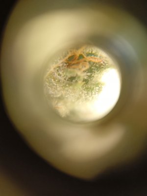 IMG20230218133910.jpg