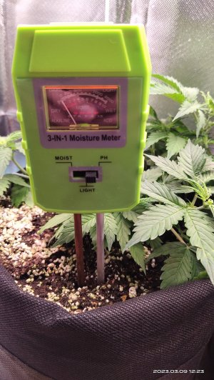 IMG_20230309_122357.jpg
