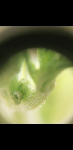 S30406-104942.png