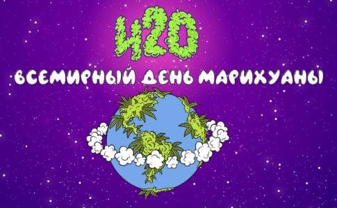 4202 (2).png