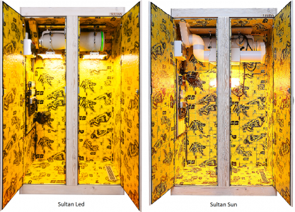 Sultan Led & Sultan Sun front.png