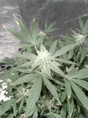 mir_20230505_085503.jpg