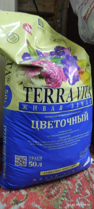 IMG_20230513_083002.jpg