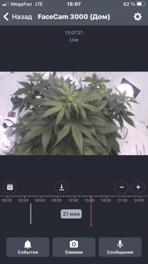 image-21-05-23-15-10.png
