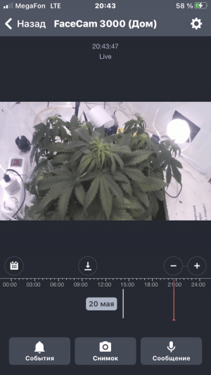 image-21-05-23-15-10-1.png
