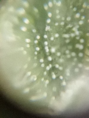 mir_20230526_214749.jpg