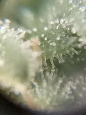 mir_20230526_214924.jpg