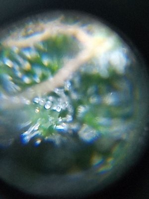 mir_20230531_095916.jpg