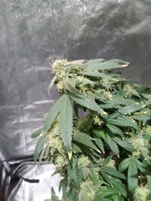 mir_20230531_100142.jpg
