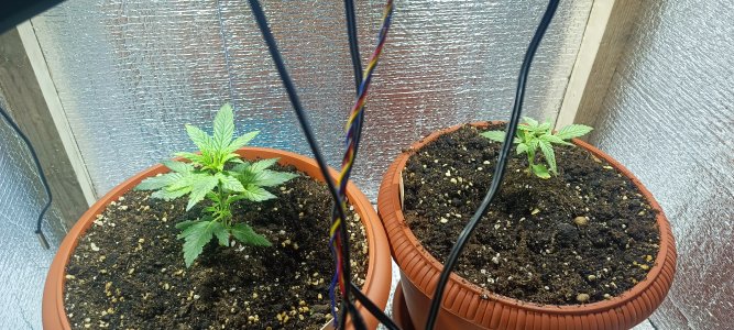 1685963467074.jpg