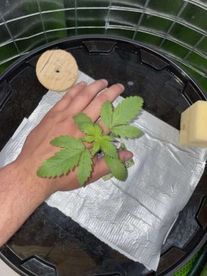 IMG_0631.JPG