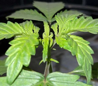 IMG_0635.jpg