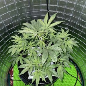 IMG_0775.jpg