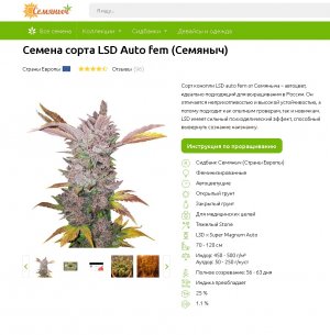 LSD Auto fem (Семяныч).jpg