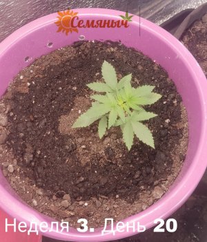Picsart_23-07-11_10-41-14-817.jpg