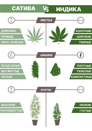 2.jpg 2.jpg