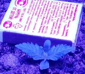 20211221_220519.jpg