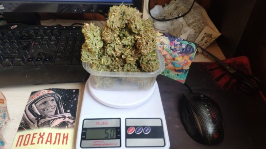 Zkittles.jpg Zkittles.jpg